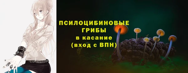 ECSTASY Белокуриха